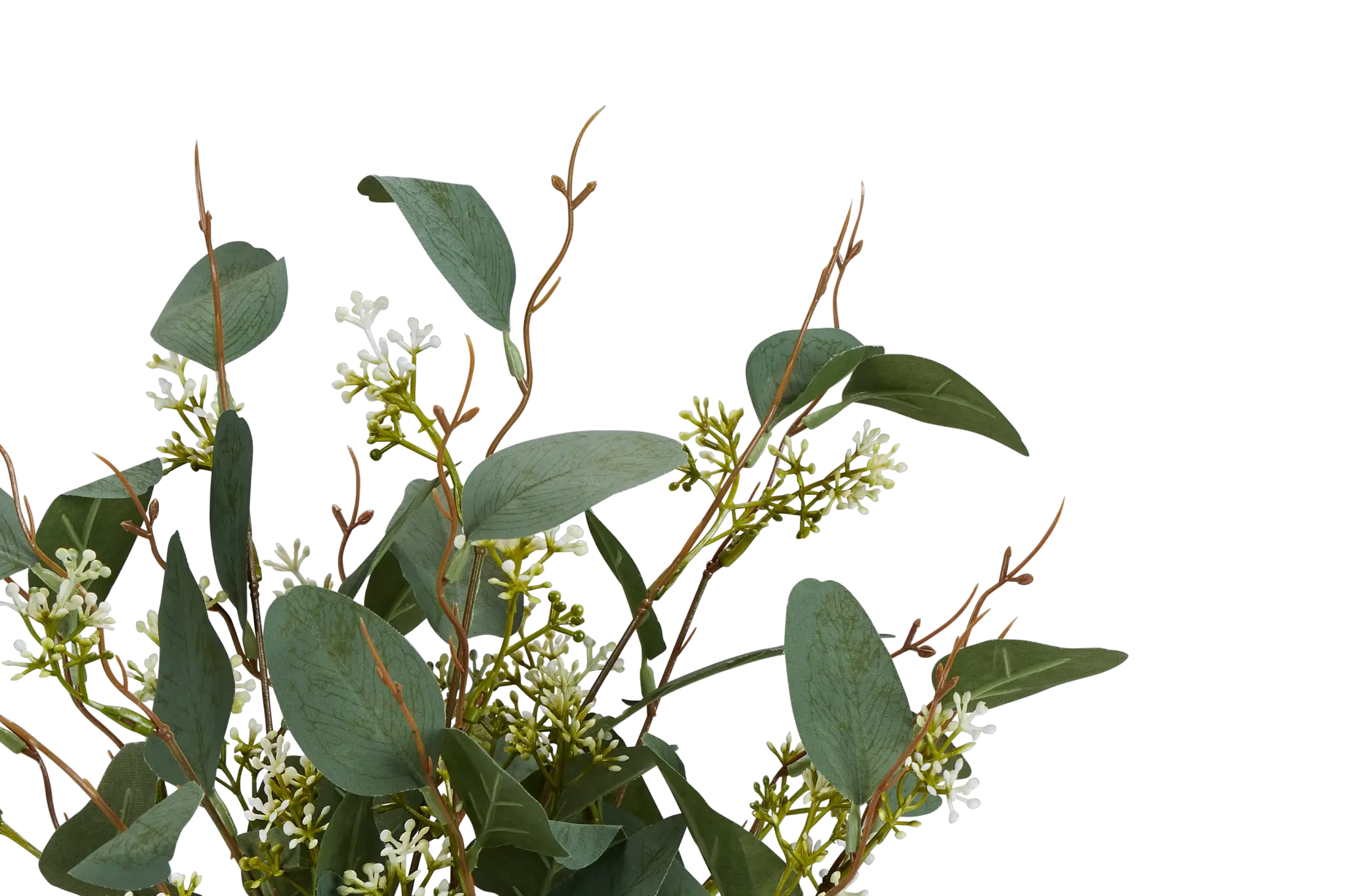 Eucalyptus Medium Greenery Eucalyptus Medium Greenery