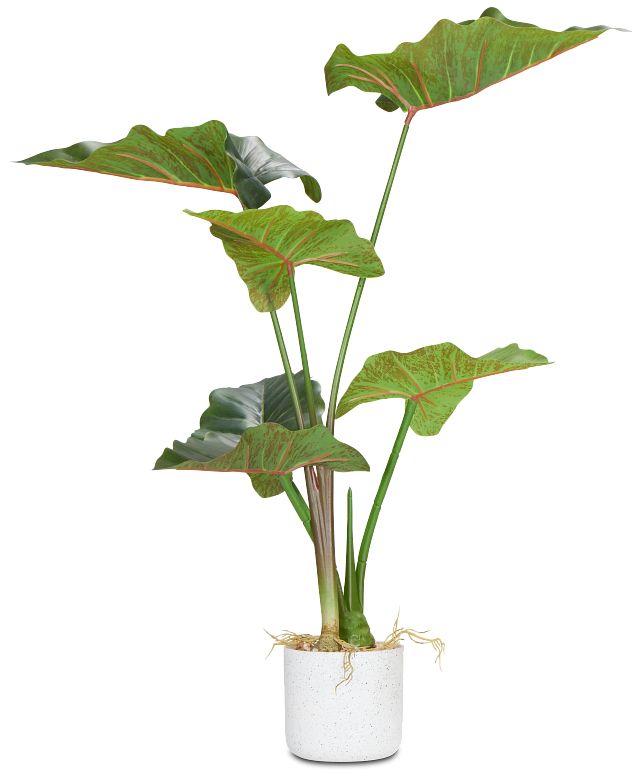 Caladium Green 27" Greenery