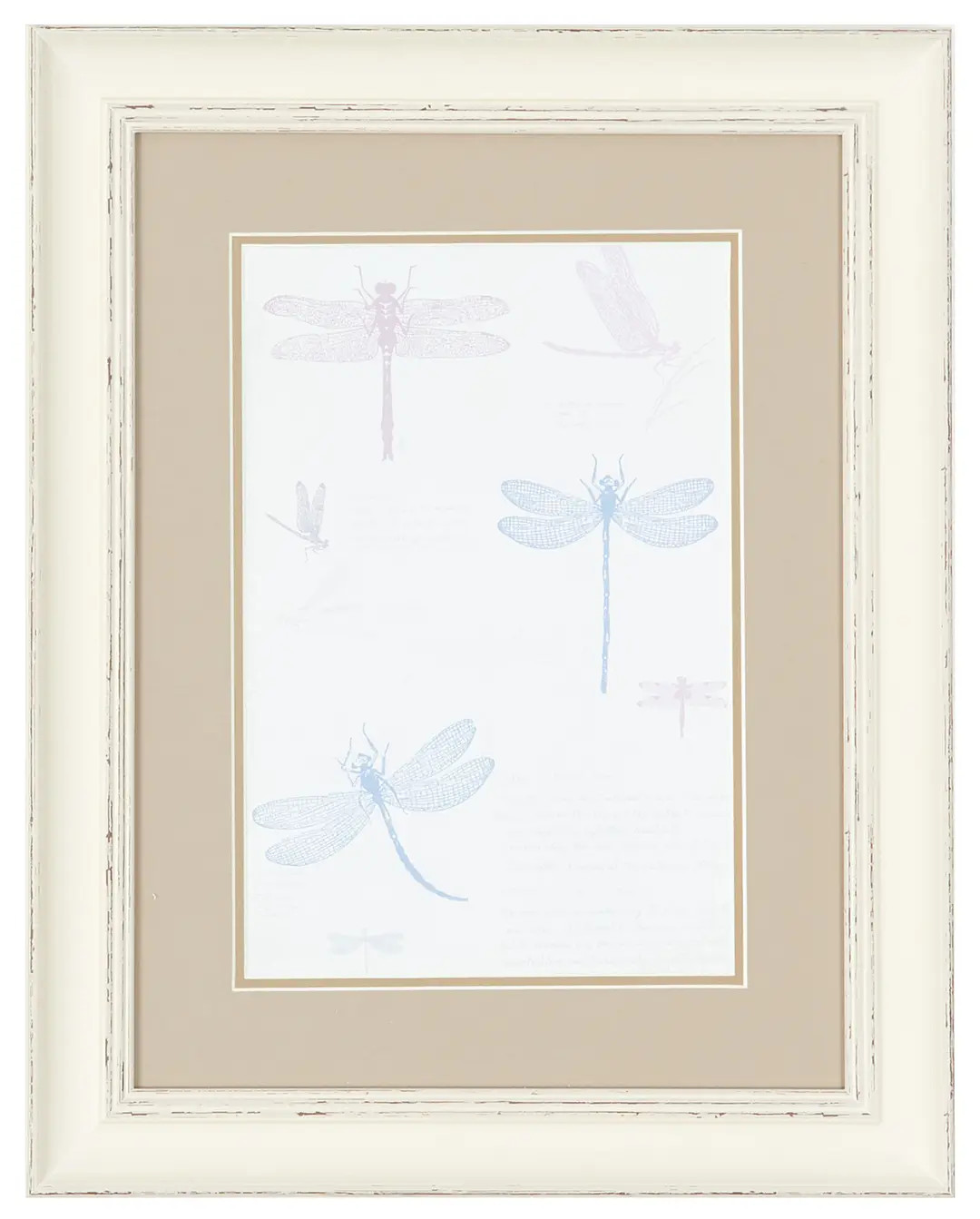 Dragonfly Multicolored Framed Wall Art Dragonfly Multicolored Framed Wall Art