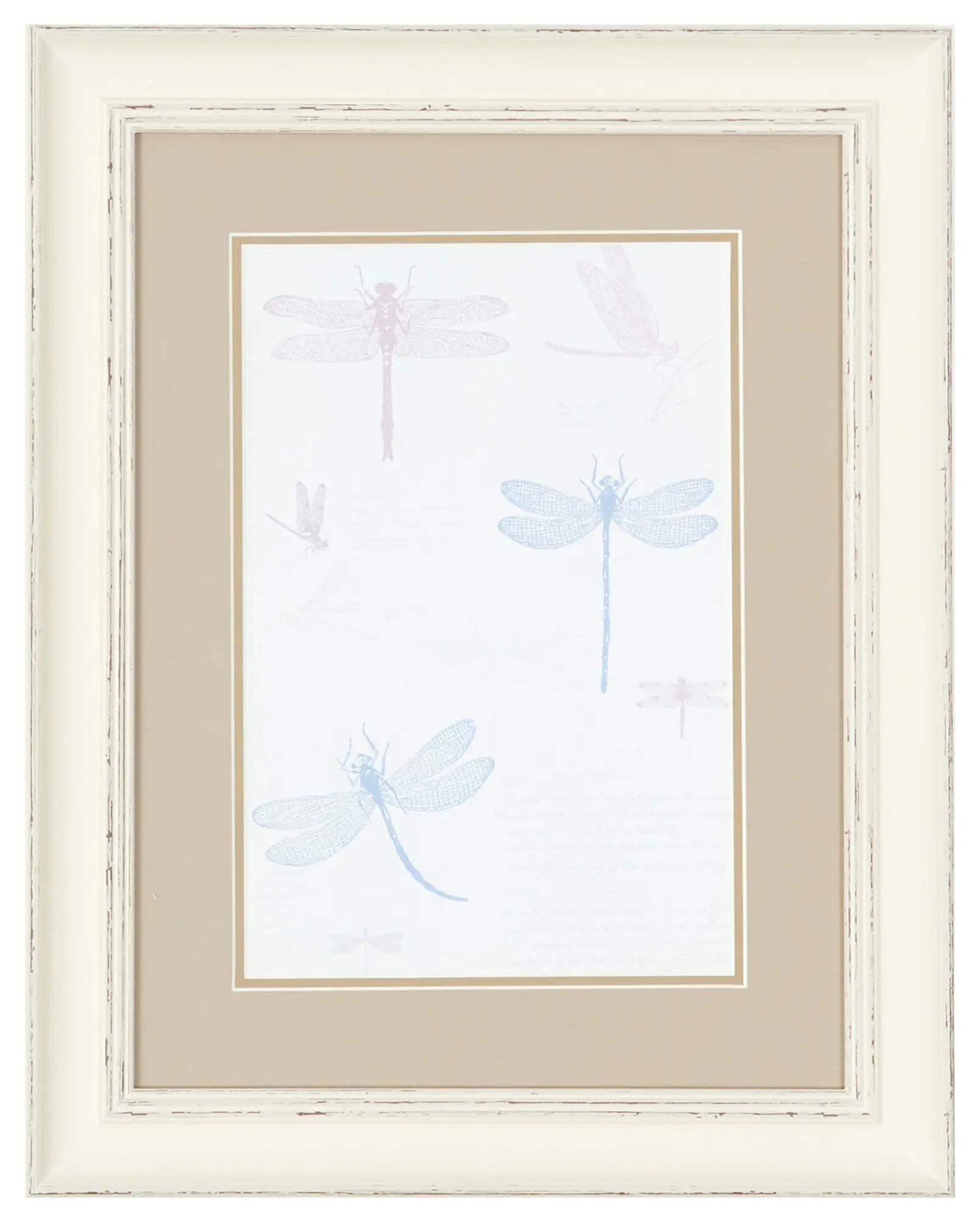 Dragonfly Multicolored Framed Wall Art Dragonfly Multicolored Framed Wall Art