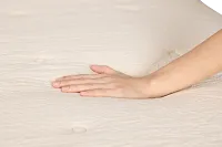 Avocado Eco Organic Organic 10.25" Tight Top Mattress