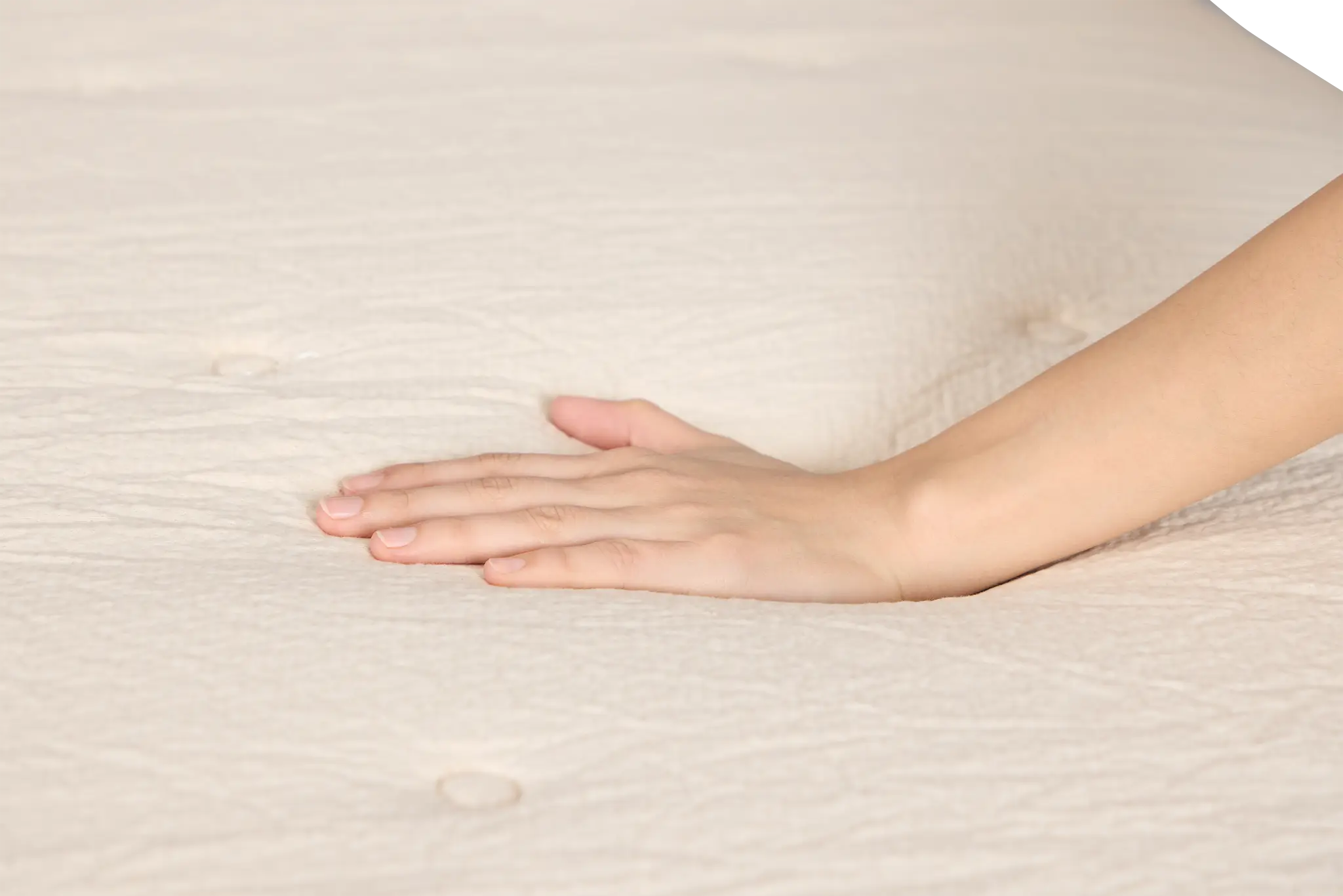 Avocado Eco Organic Organic 10.25" Tight Top Mattress Avocado Eco Organic Organic 10.25" Tight Top Mattress