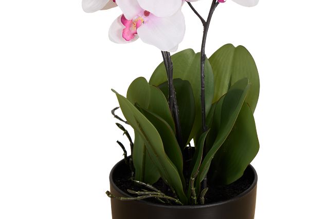 Orchid 7.5" White Floral Arrangement