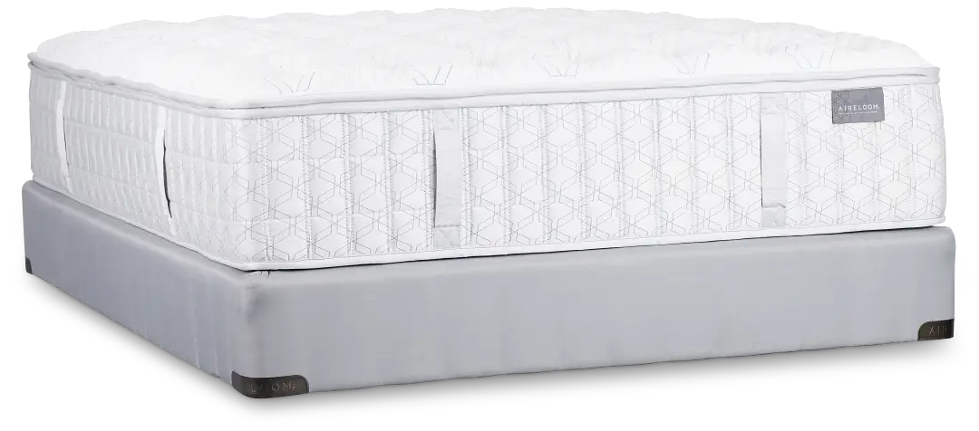 Aireloom Timeless Odyssey Luxetop M2 Plush Mattress Set Aireloom Timeless Odyssey Luxetop M2 Plush Mattress Set
