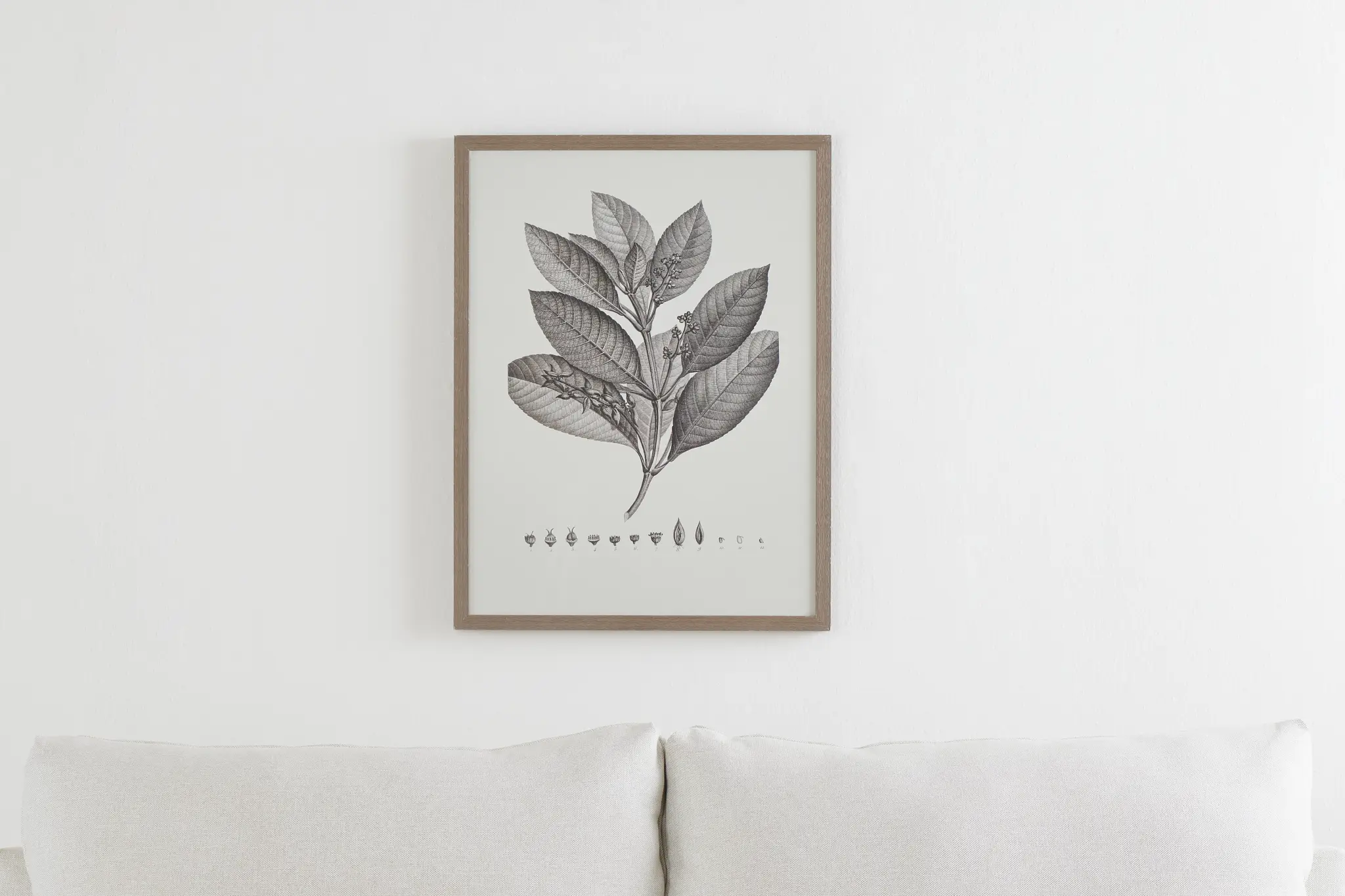 Thicket Gray Framed Wall Art Thicket Gray Framed Wall Art