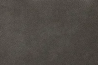 Jayden Gray Micro Power Reclining Sofa