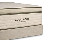 Avocado Green Plush Mattress Set