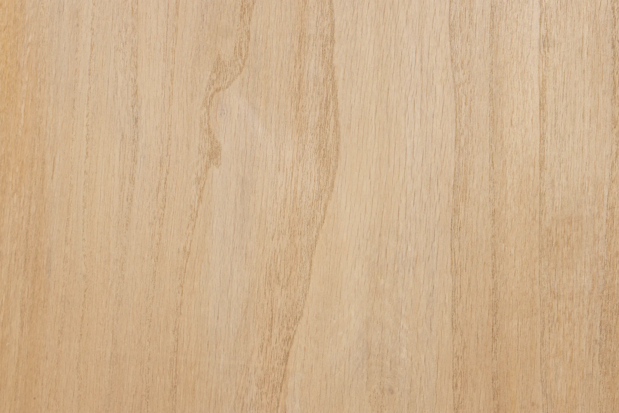 Blyth Light Tone 2-door Bookcase