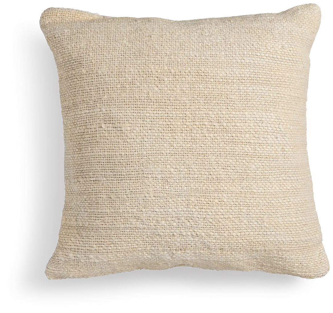 Helterna Ivory 22" Square Accent Pillow