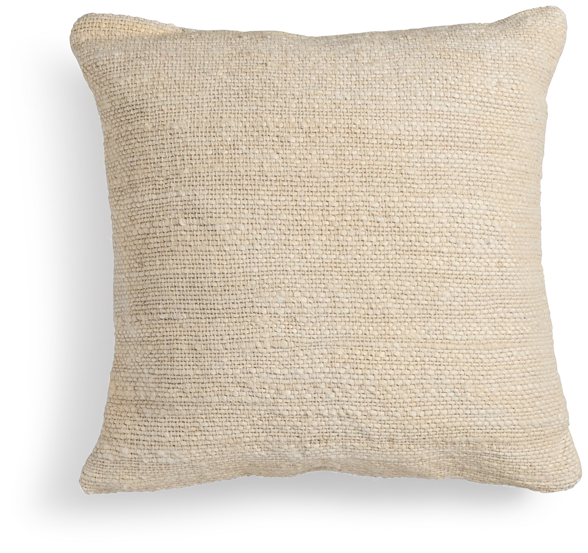 Helterna Ivory 22" Square Accent Pillow