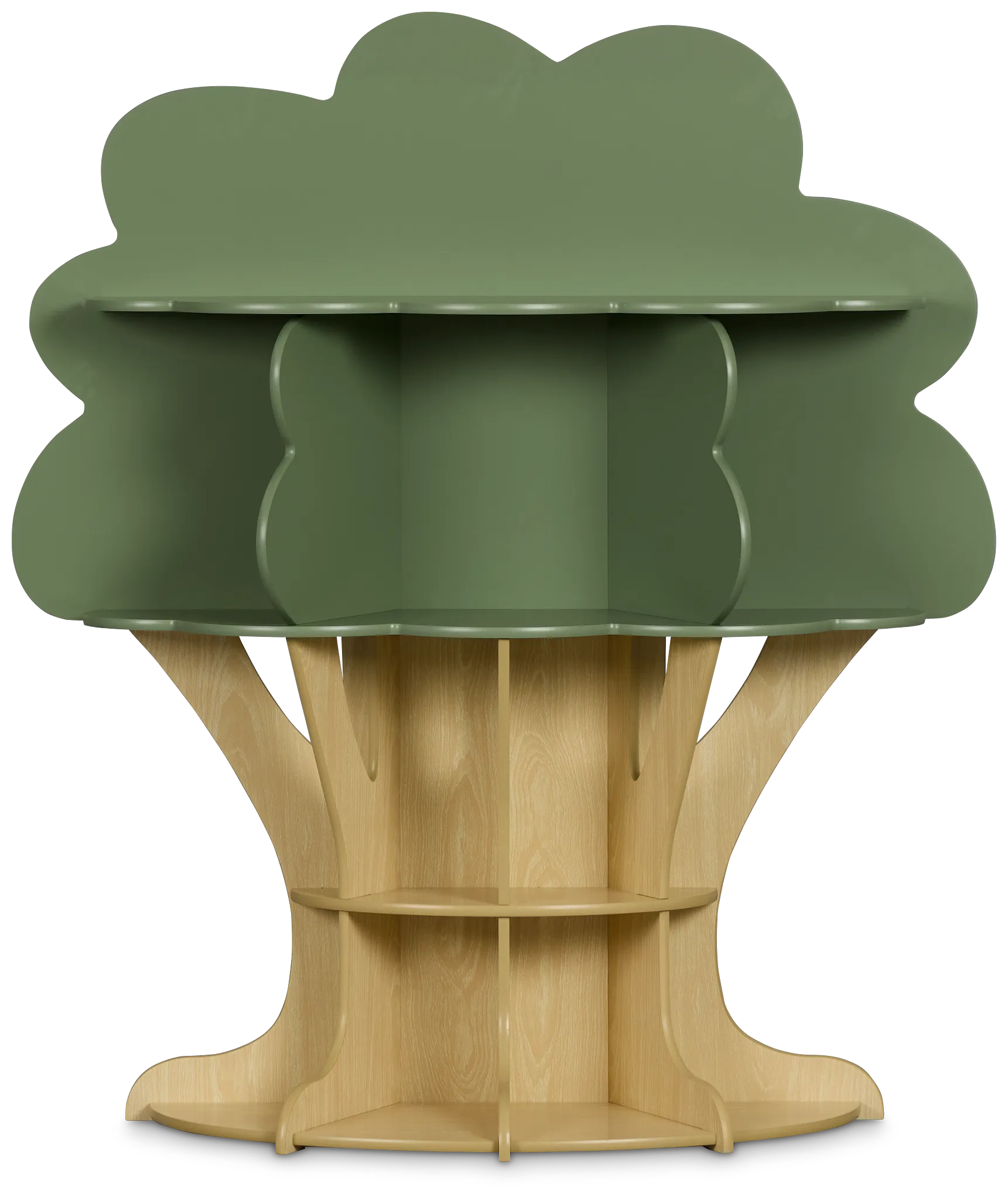 Ferni Green Storage Bookcase