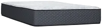 Kevin Charles By Sealy Signature 14.5" Extra Firm Tight Top Mattress