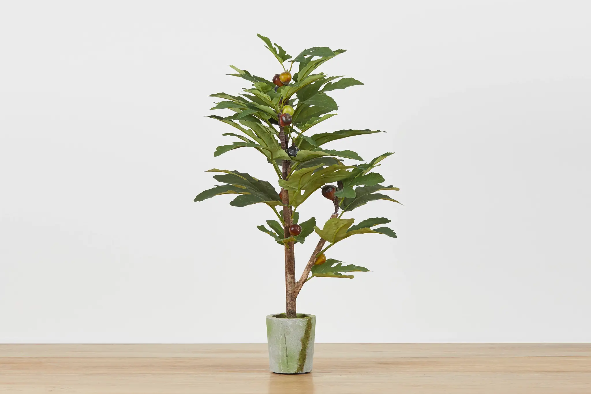 Jaxson Small Cement Olive Tree Jaxson Small Cement Olive Tree