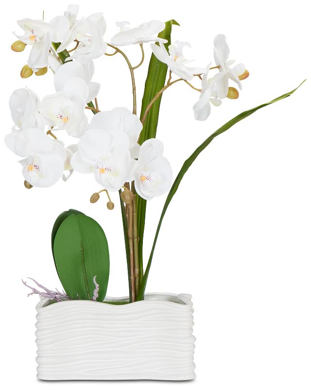 Potted Silver 18" Orchid