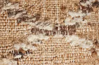 Greb Light Brown 22" Accent Pillow