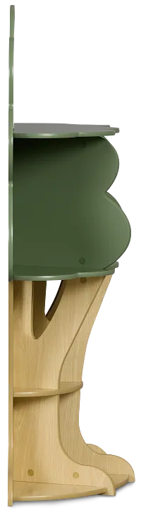 Ferni Green Storage Bookcase