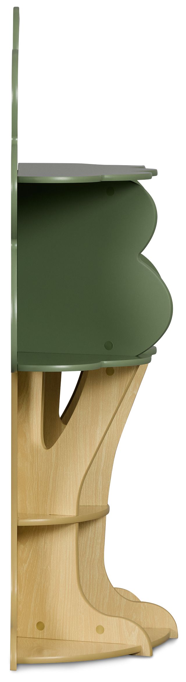 Ferni Green Storage Bookcase