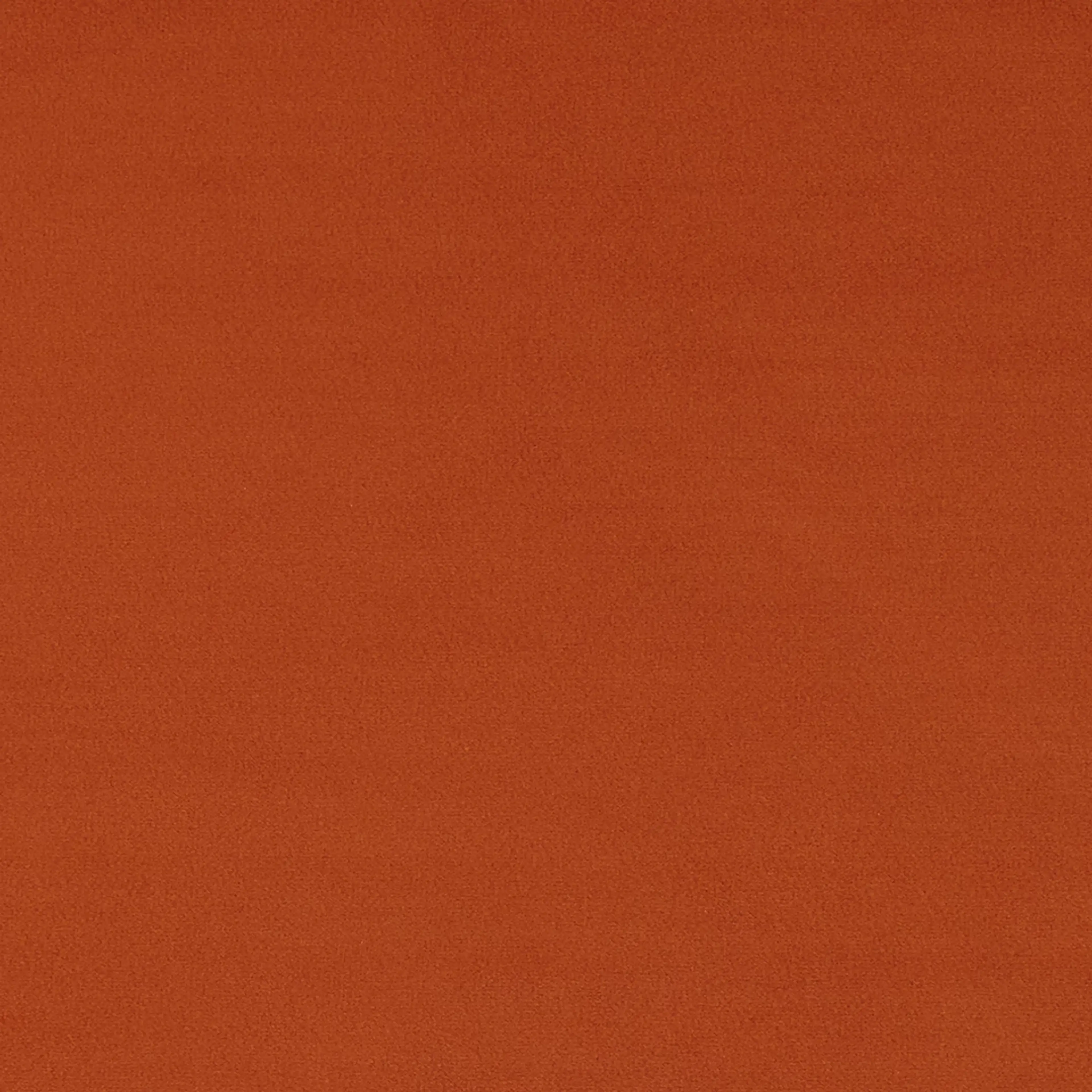 ORANGE Edgewater Joya Orange Loveseat