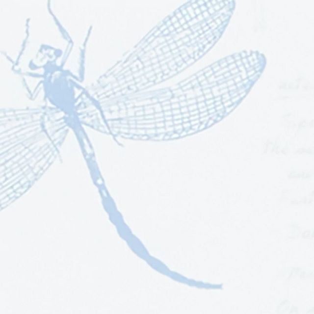 Dragonfly Multicolored Framed Wall Art