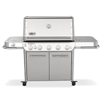 Weber Summit Fs38 S Gas Grill Stainless Steel Gas Grill