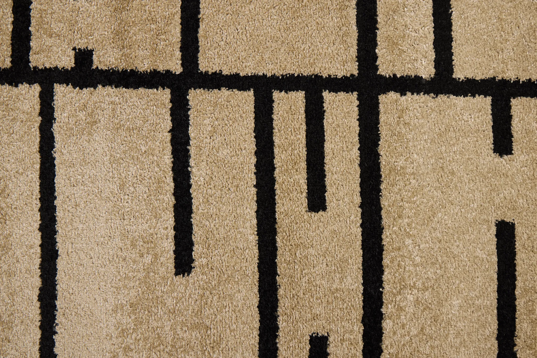Dani Black 5x7 Area Rug