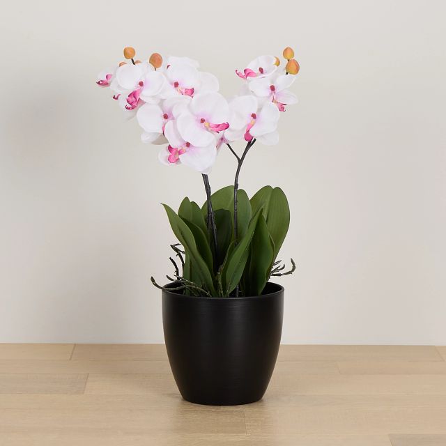 Orchid 7.5" White Floral Arrangement
