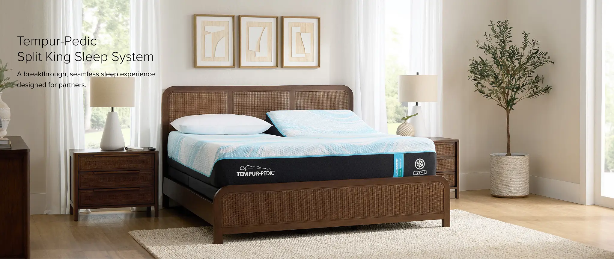 Shop Tempur-pedic Split Mattress