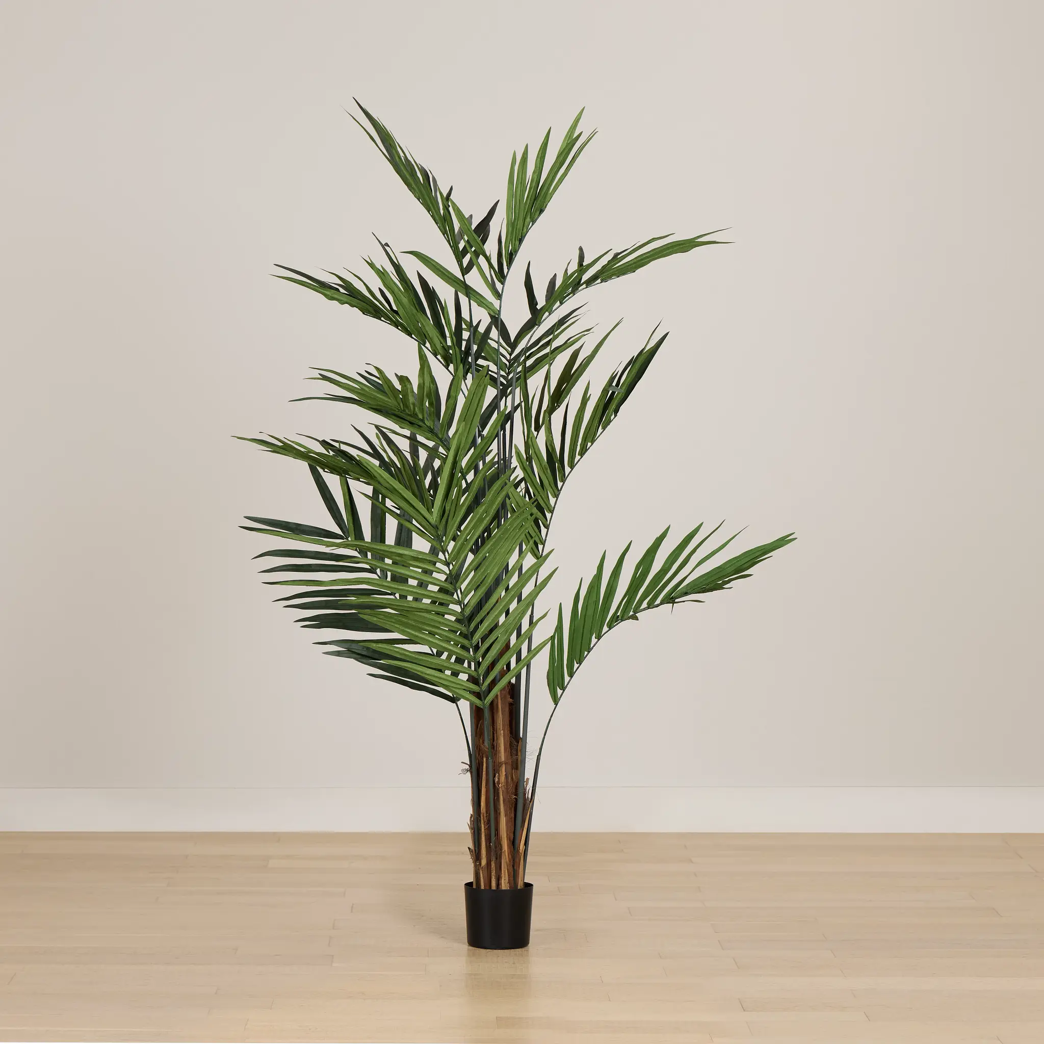 Koa 7' Palm Koa 7' Palm