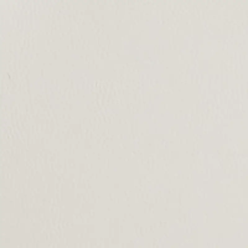 Light Gray Light Gray