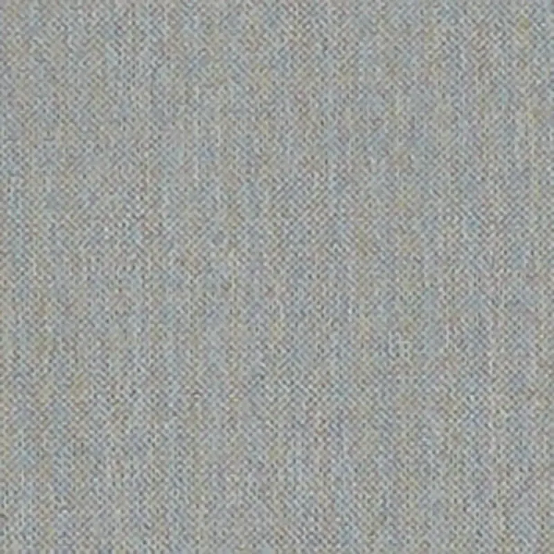 Light Gray Light Gray