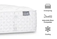 Aireloom Timeless Odyssey Streamline Luxury Firm 14.5" Mattress