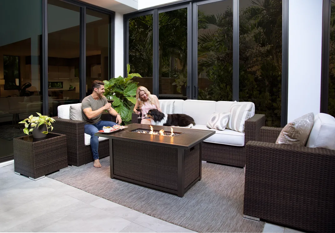 Pet and Life-Friendly Furniture