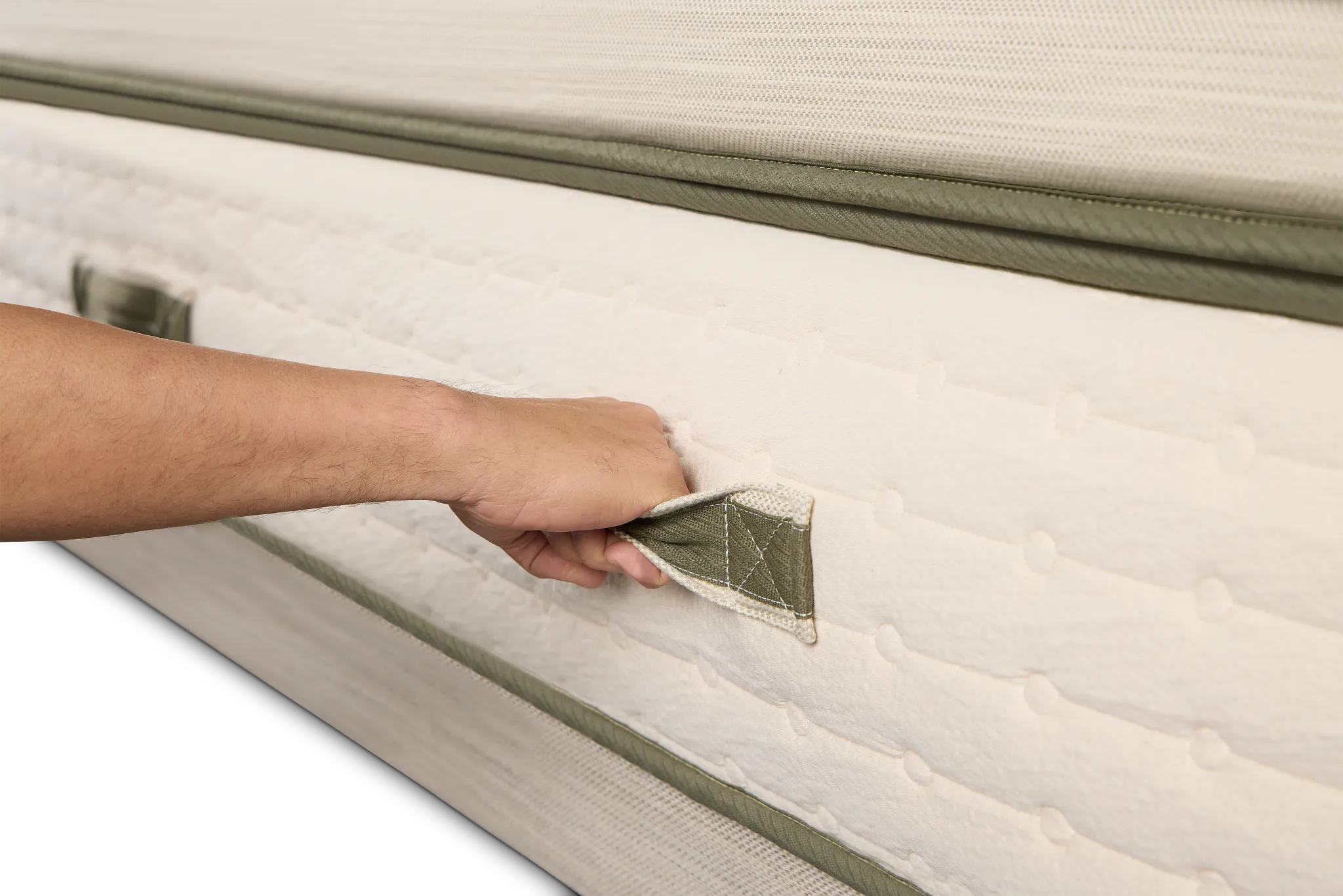 Avocado Green 15.50" Plush Box Top Mattress