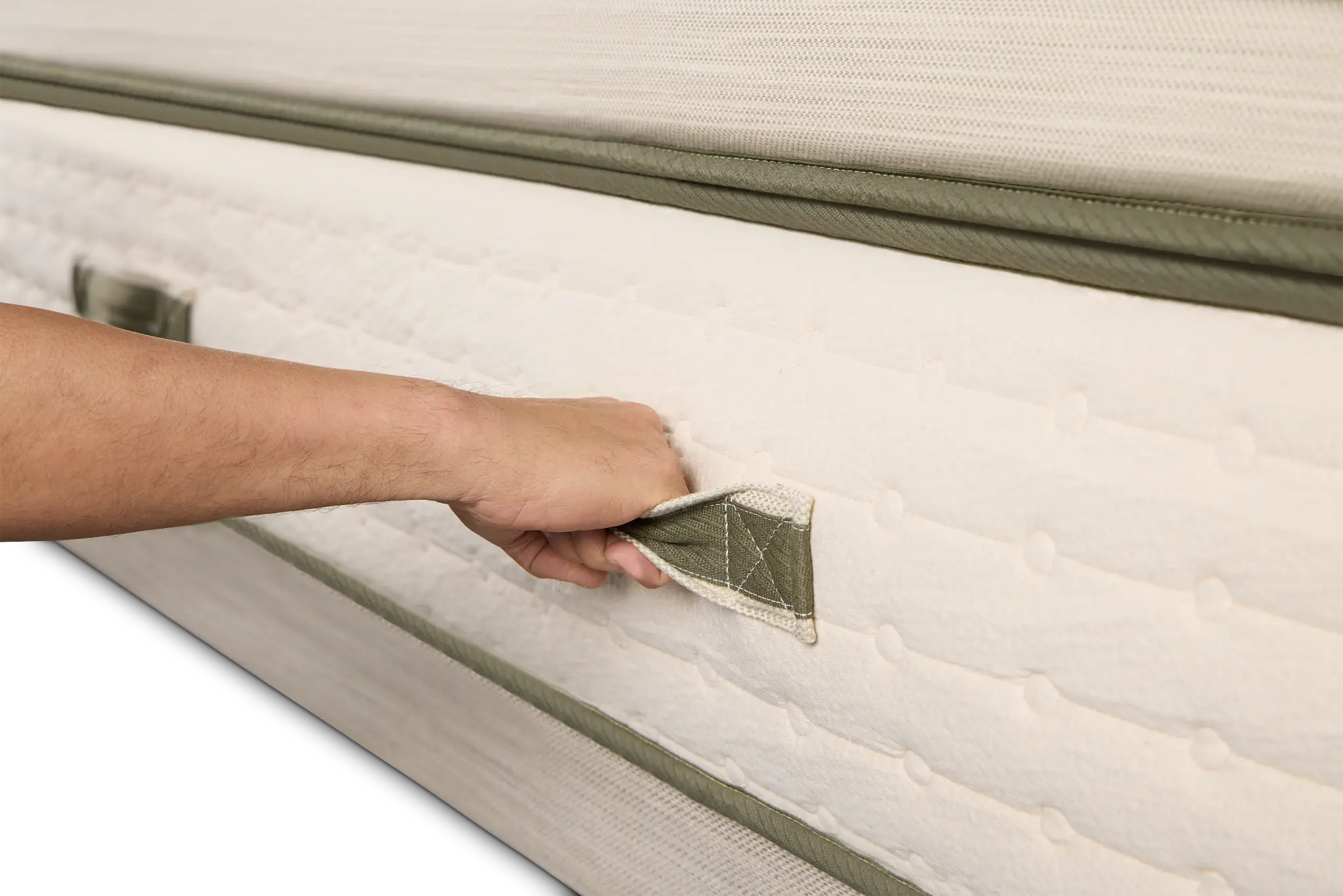 Avocado Green 15.50" Plush Box Top Mattress Avocado Green 15.50" Plush Box Top Mattress