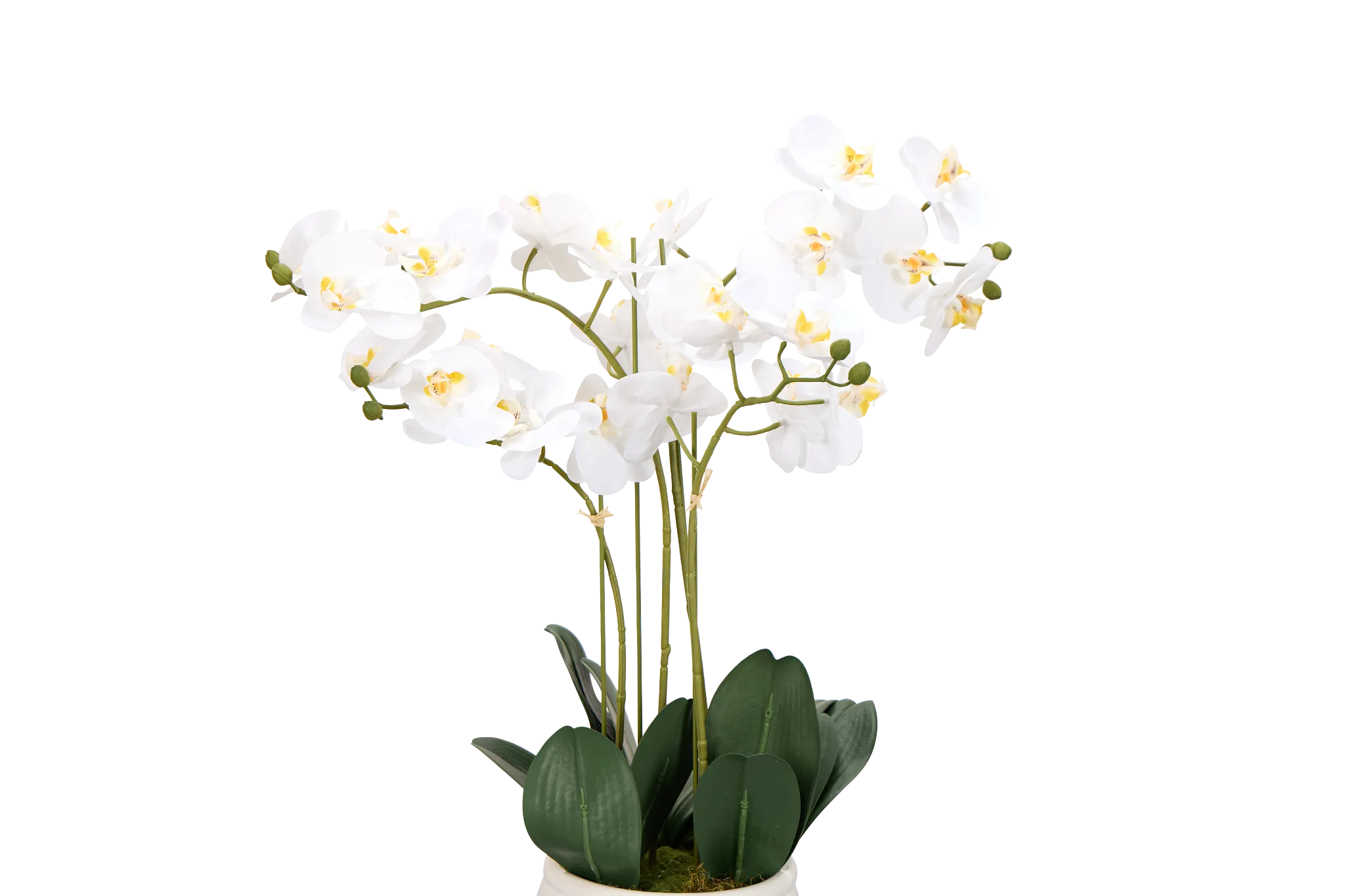 Orchid White 23" Floral Arrangement