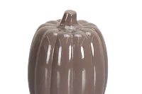 Pumpkin Light Tone Small Tabletop Accessory