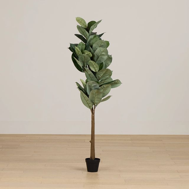 Oak 5' Tree
