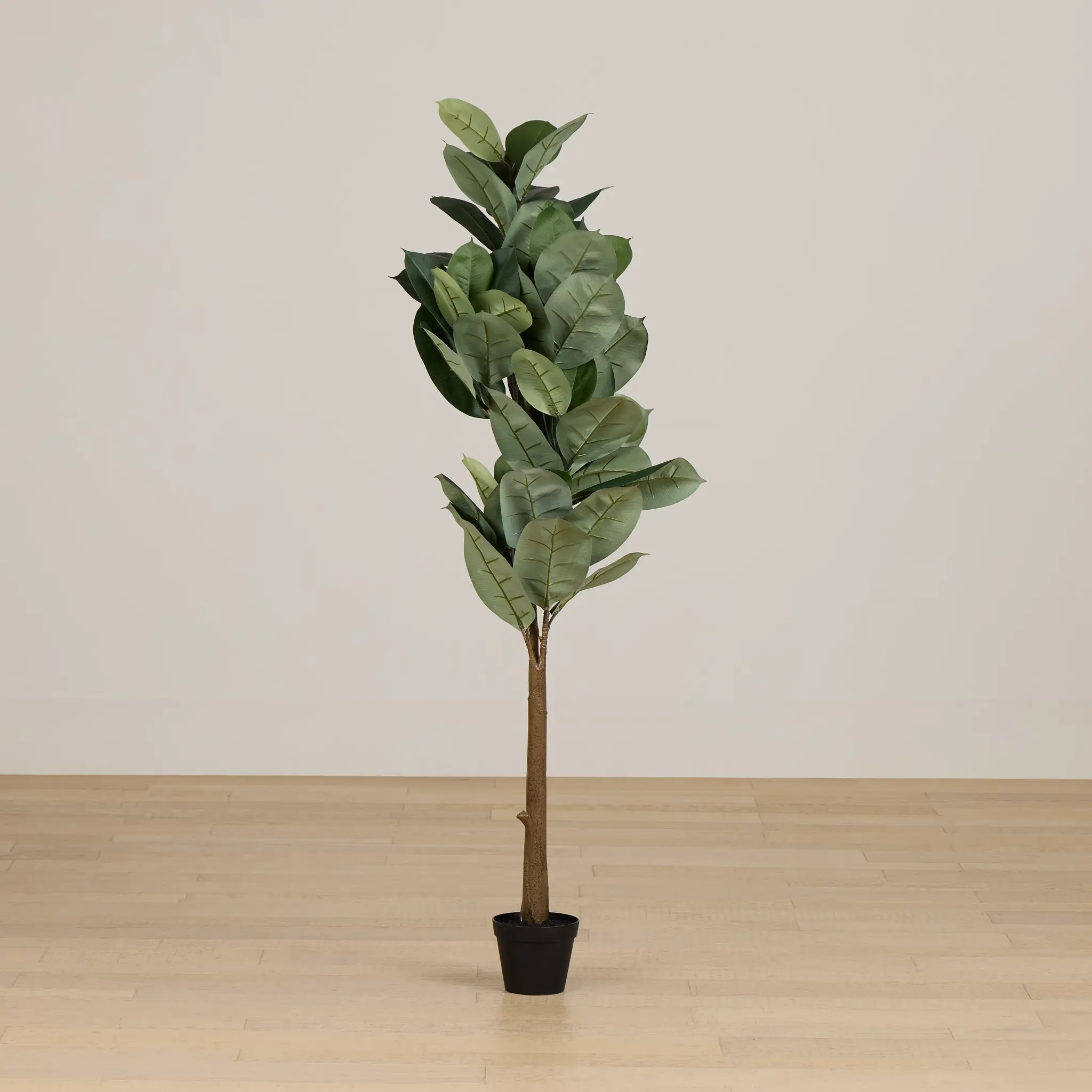 Oak 5' Tree Oak 5' Tree