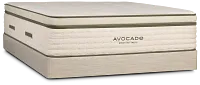 Avocado Green Plush Mattress Set