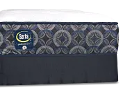 Perfect Sleeper Decatur Street Plush Mattress Set
