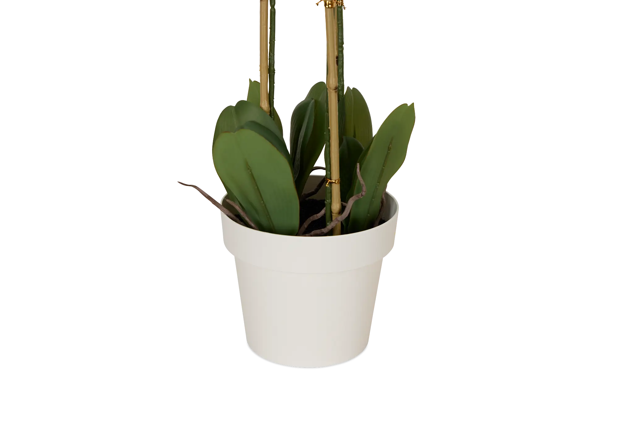 Phalaenopsis 35" Pink Orchid Phalaenopsis 35" Pink Orchid