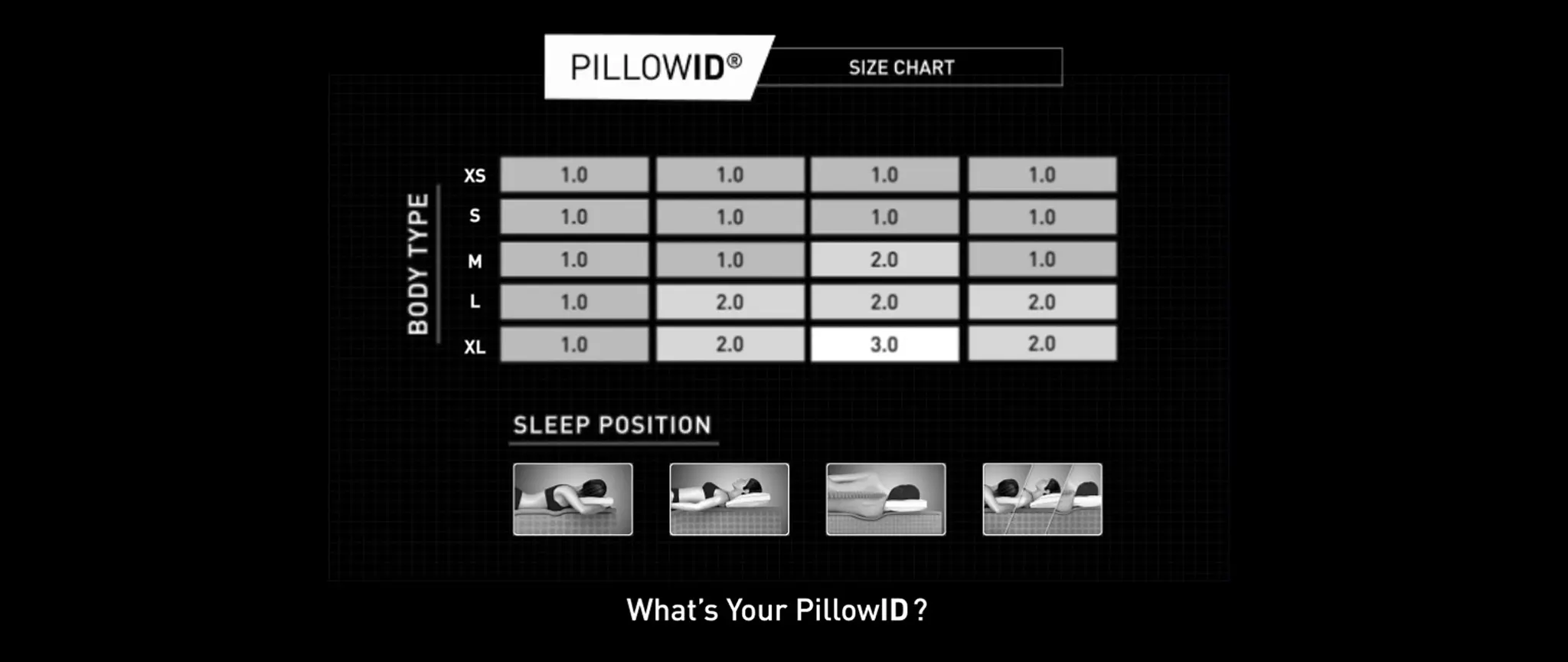 Pillow-ID-123ONLY_1536x649_XLG.jpg