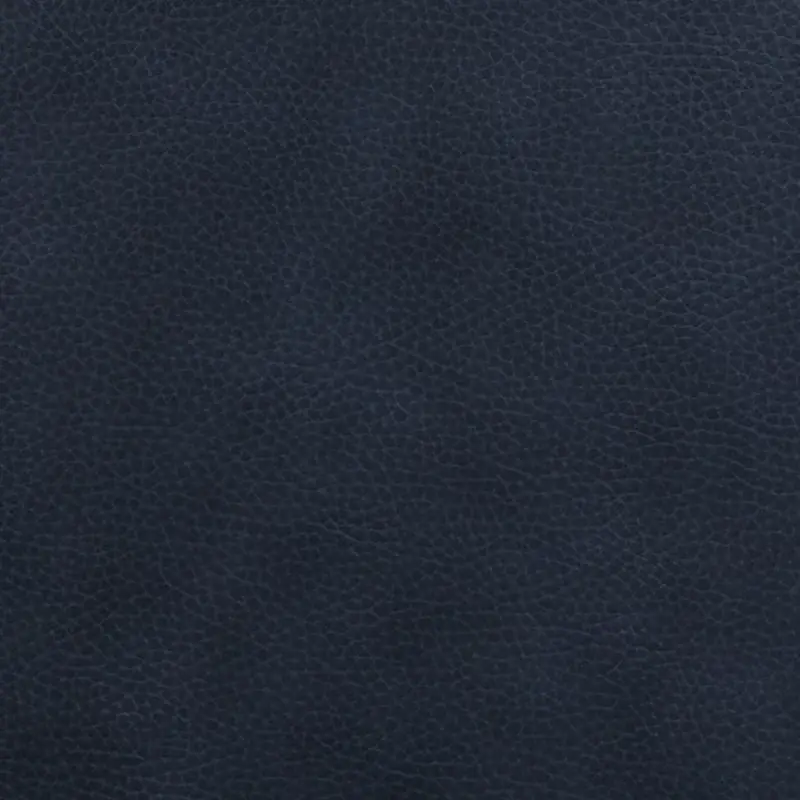 Navy Navy