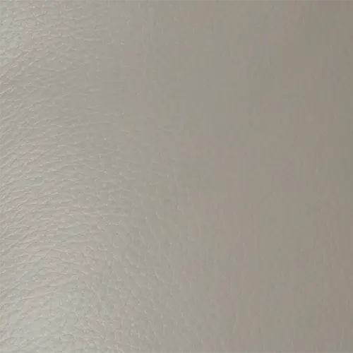 Light Gray Light Gray