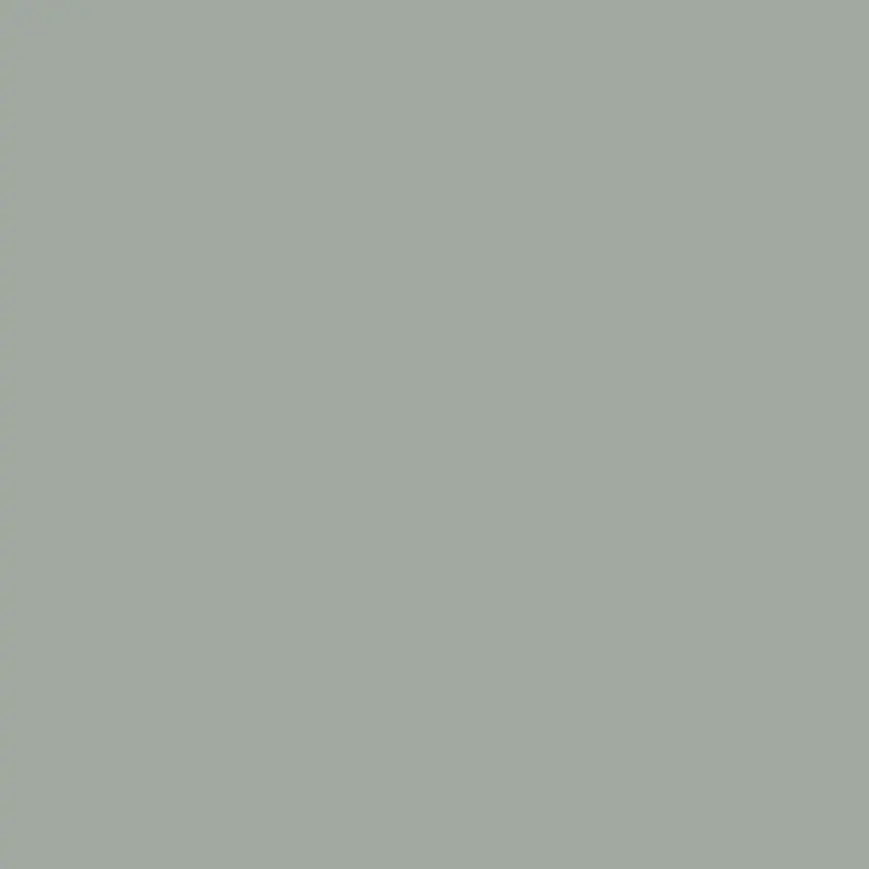 Gray Gray