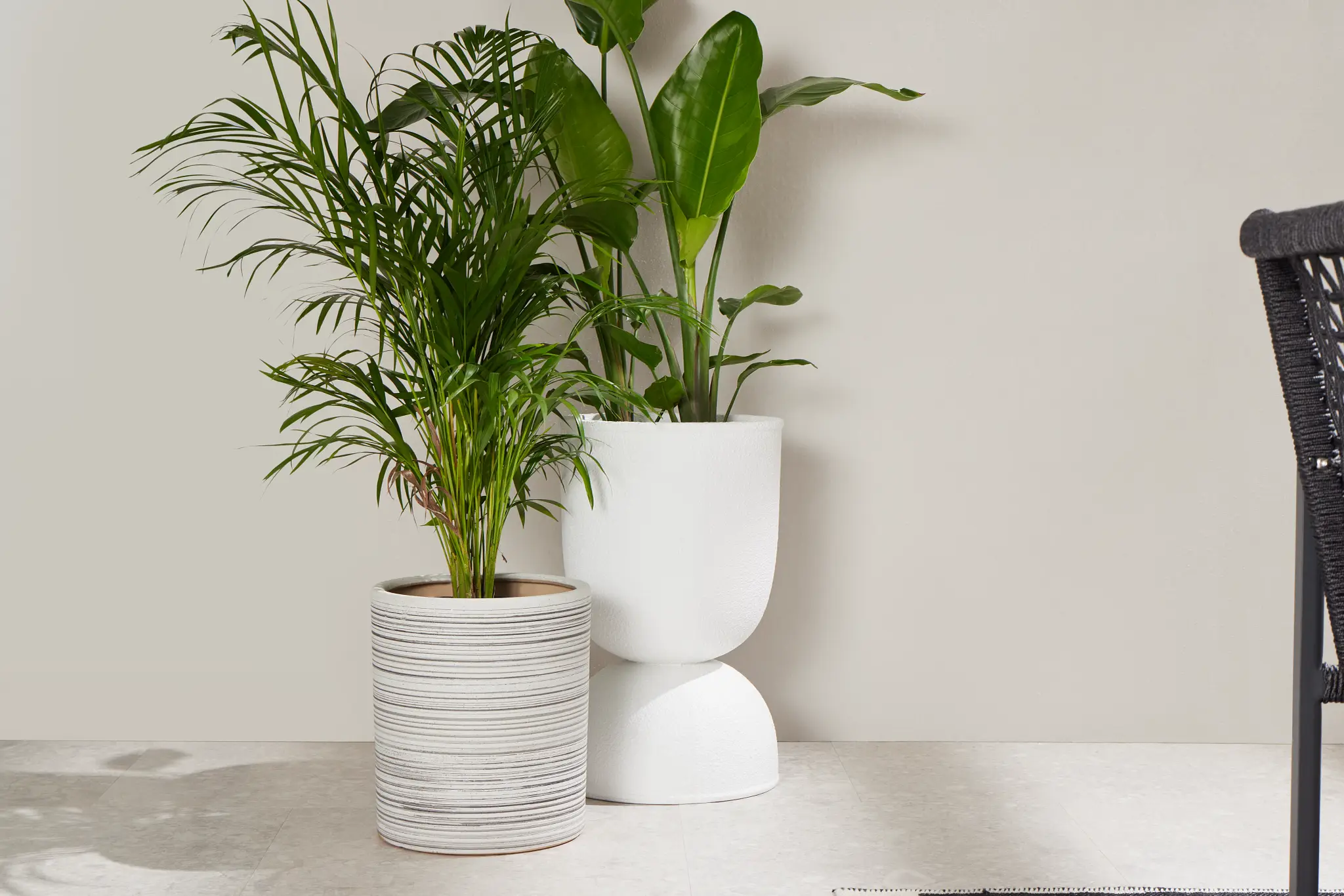 Lightweight & Stylish: Polyresin Planters