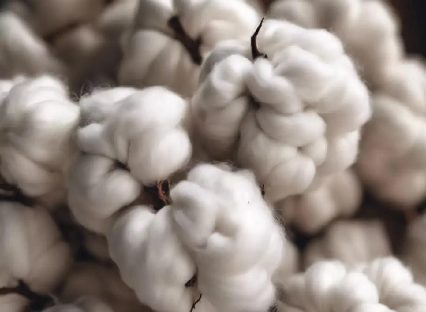 Fibers