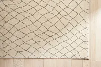 Caleb Ivory 8x11 Area Rug