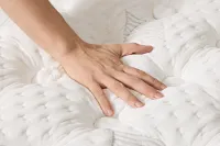 Aireloom Timeless Odyssey Streamline 14" Extra Firm Mattress