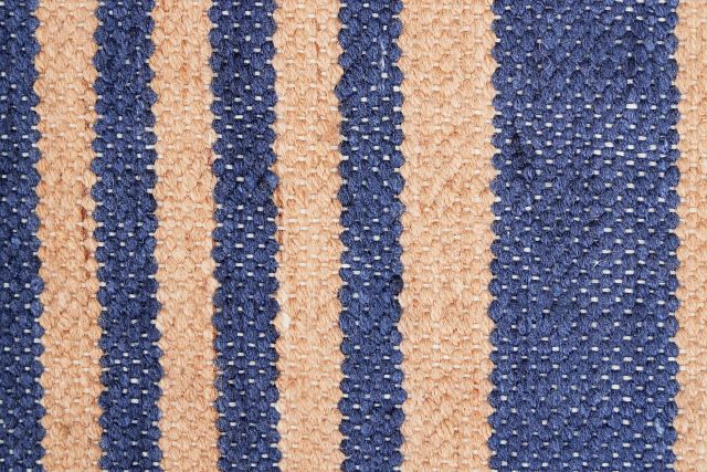 Gingera Blue Indoor/outdoor 5x8 Area Rug